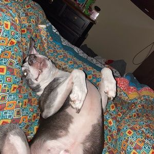 Meet your Posher, Nancy